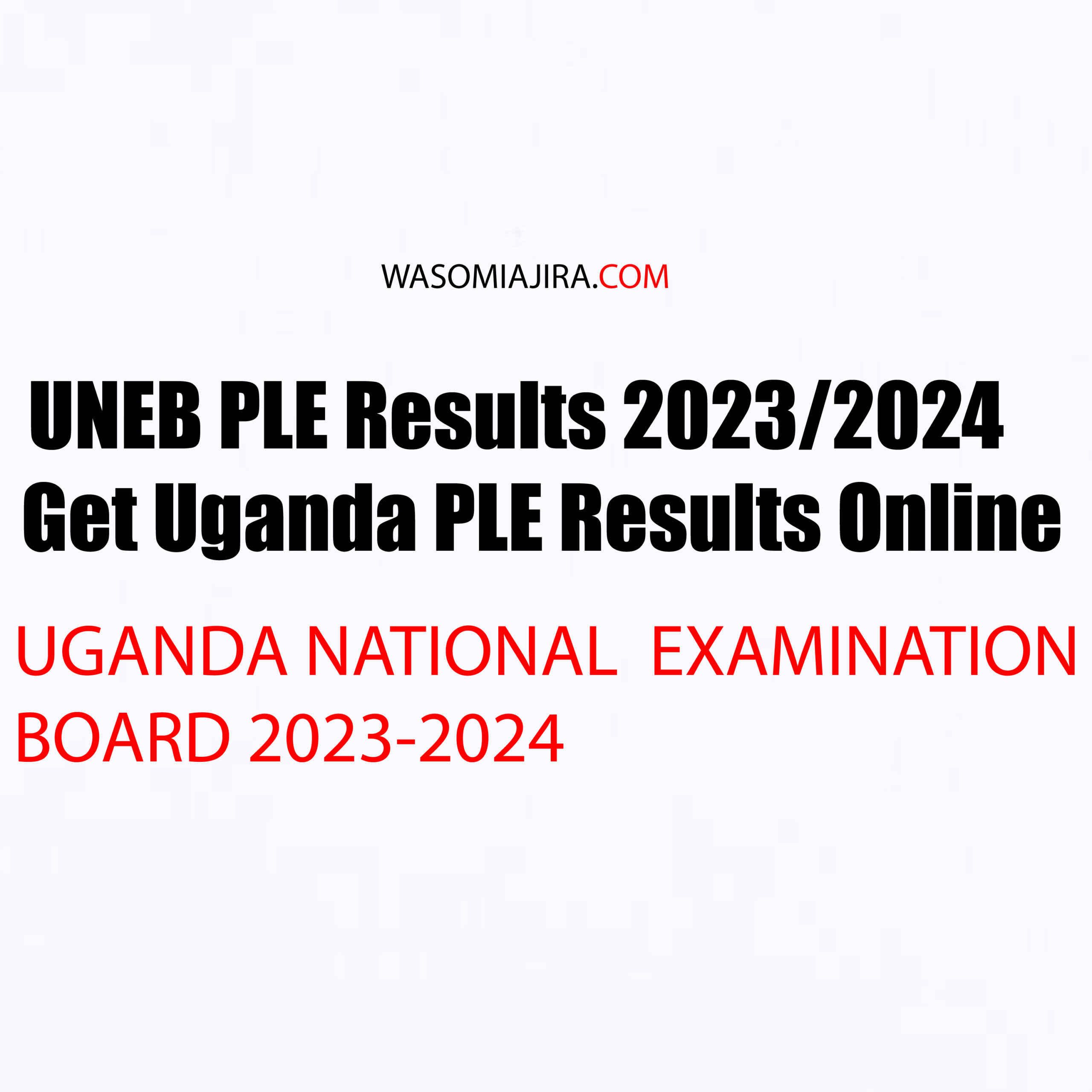 UNEB Announces Release Date for 2023 PLE Results January 25, 2024